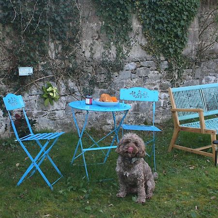 Ferienwohnung The Luxury Dartmoor Den, Dartmoor, Devon Ashburton Exterior foto